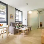 Vivente -