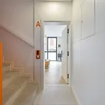 Apartamento Vivente - *